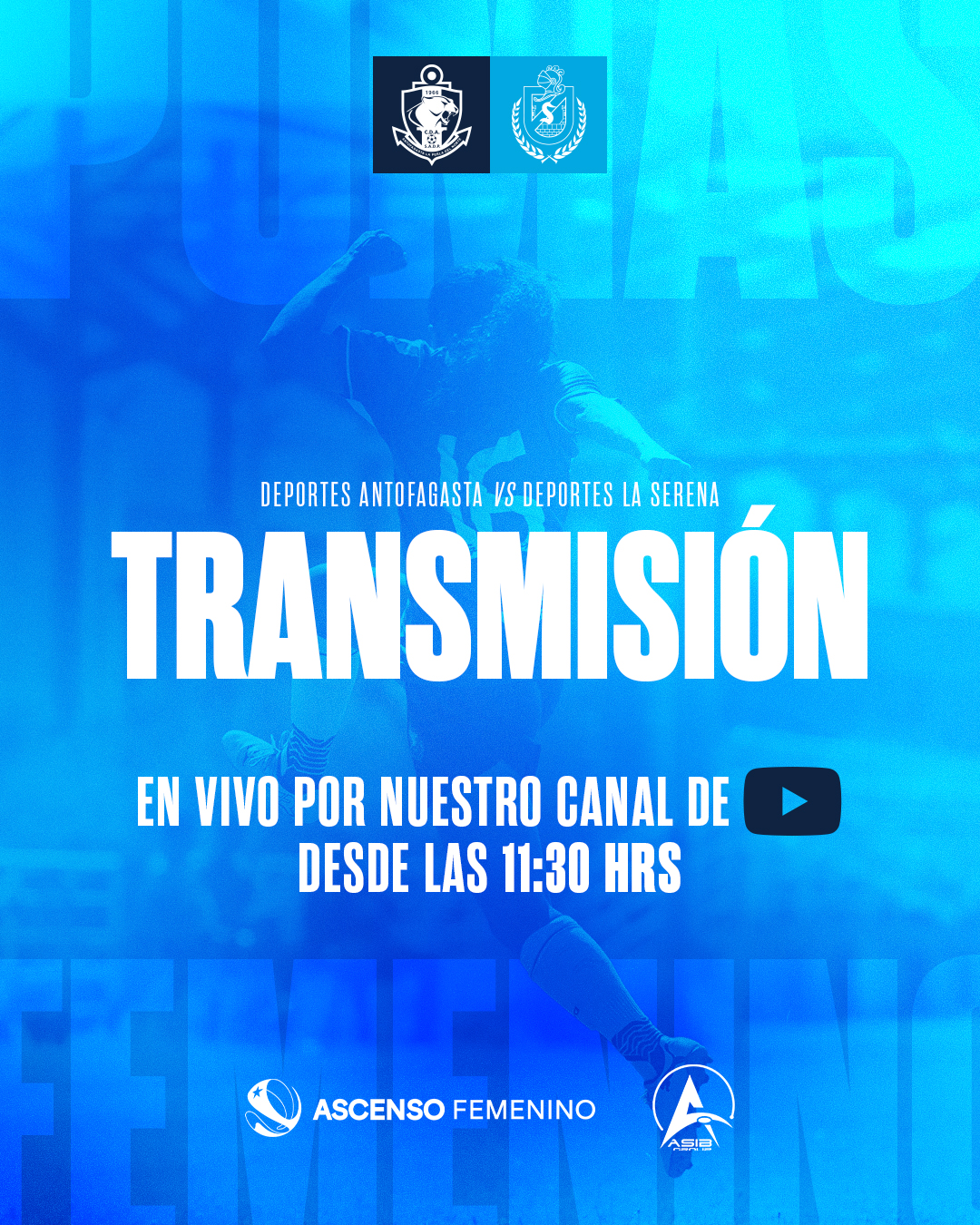 Transmisión FEM