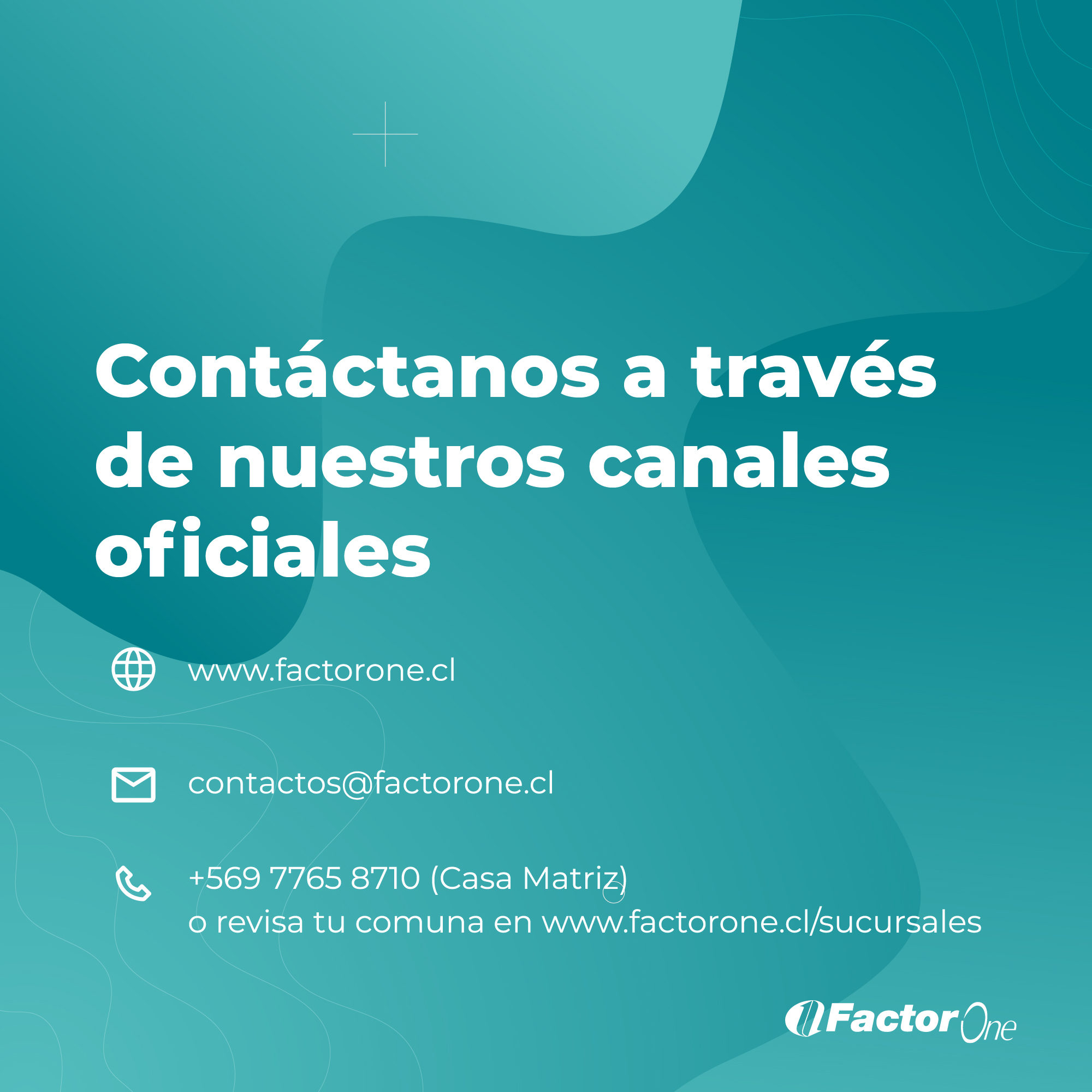 contacto